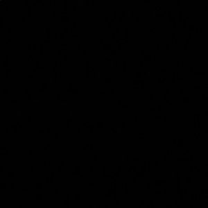 Meet your Posher, Sabrina